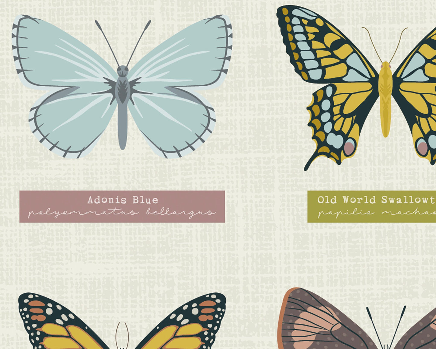 BUTTERFLIES PRINT