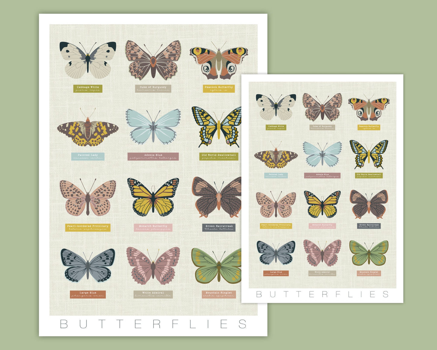 BUTTERFLIES PRINT