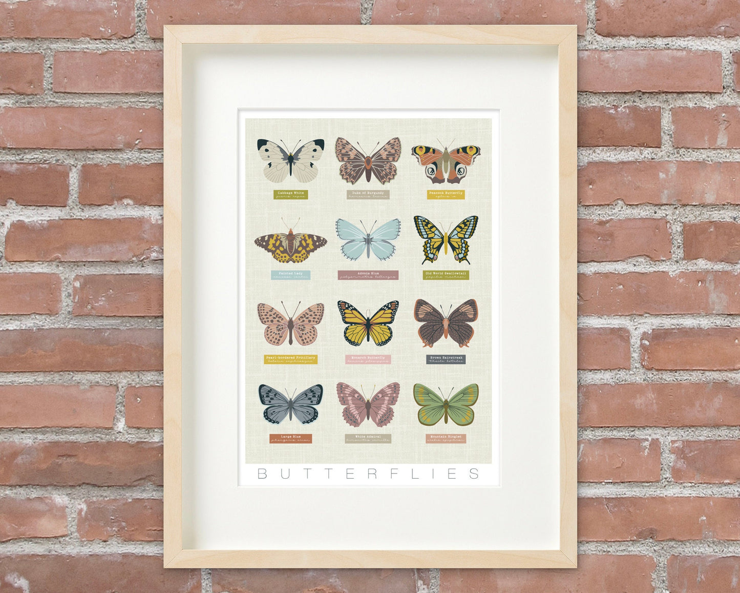 BUTTERFLIES PRINT